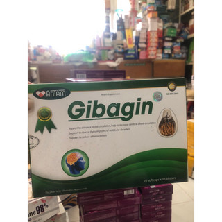 Thực phẩm chức năng bảo vệ sức khoẻ - bổ não gibagin