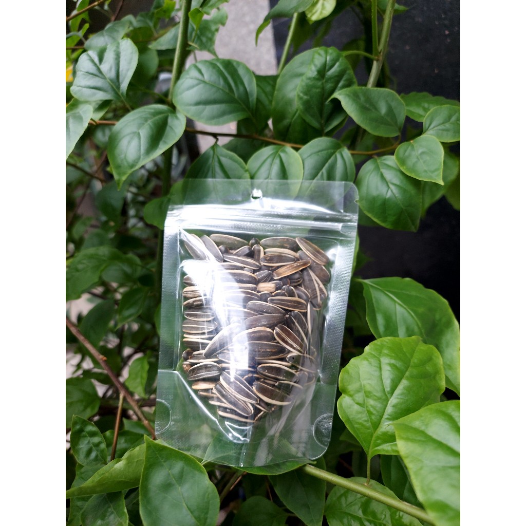 Cơm cháy chà bông -nuôi xấy kho -hạt hướng dương-xí muội ko hạt-ăn vặt 2 anh em