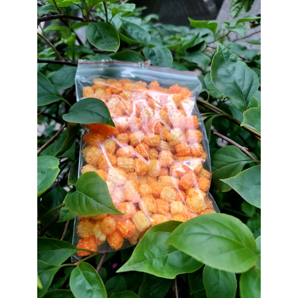 Cơm cháy chà bông -nuôi xấy kho -hạt hướng dương-xí muội ko hạt-ăn vặt 2 anh em