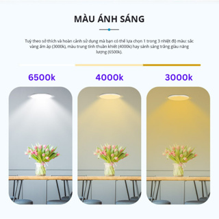 Đèn LED âm trần Downlight Đơn sắc Panasonic DN 2G Công suất