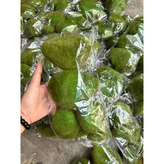 Bịch đá rêu trang trí ( combo bịch 6 cục nhiều size)