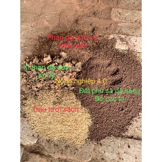 1Kg Đất Phù Sa Sạch ( trồng cây , trồng hoa hồng, trồng rau rất tốt )
