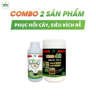 Combo King 68 + King F2 phục hồi cây, hồi đất, siêu kích rễ, phòng trừ bệnh vàng lá thối rễ