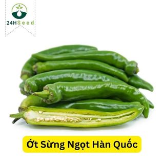 Hạt giống ớt sừng ngọt Hàn Quốc trái dài 24HSeed