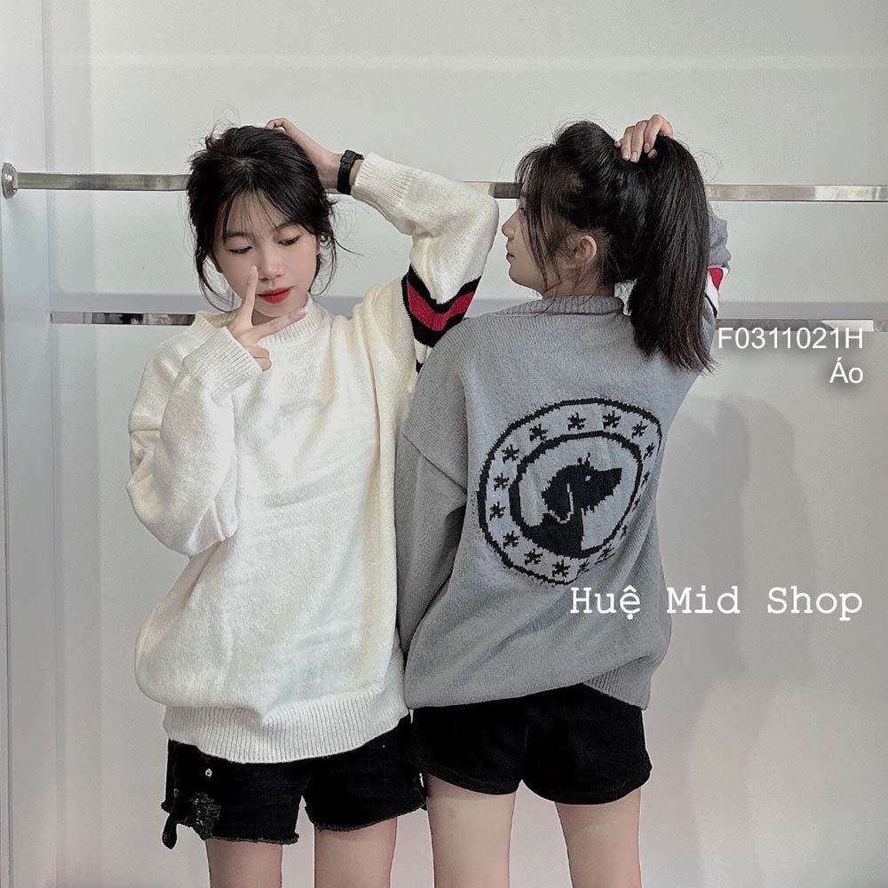 Áo len form rộng họa tiết lưng hình chó tay dài phối viền sọc màu bên hàng QC! transtore