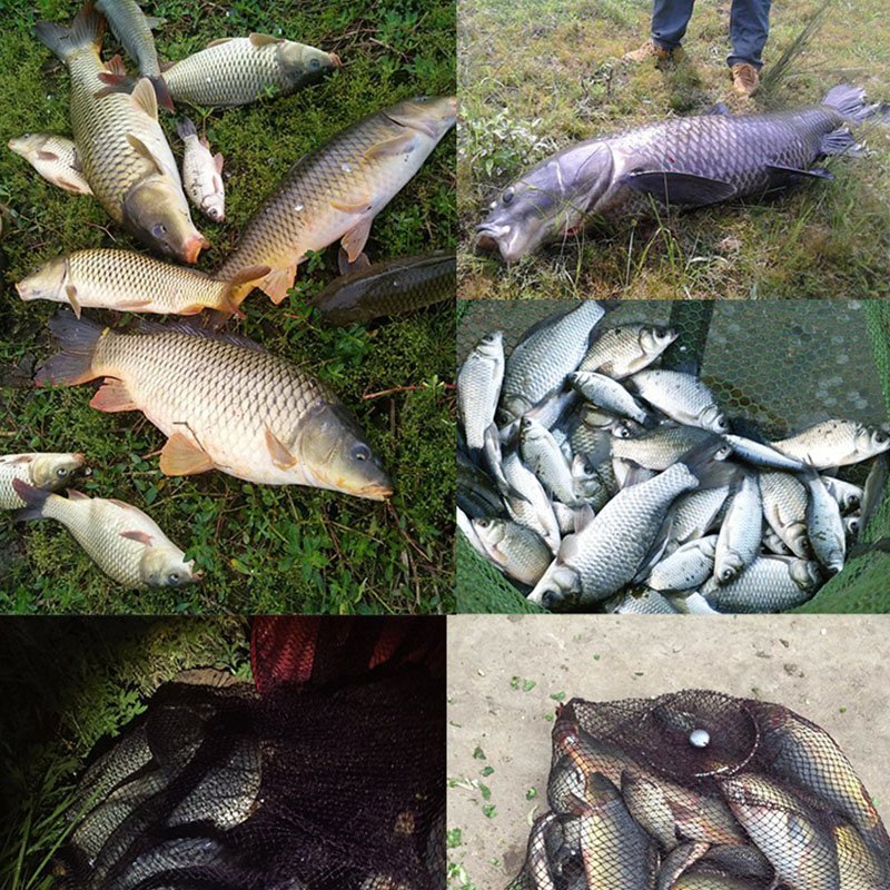 Cước câu cá tàng hình GT Cao Cấp 52m dùng làm trục và làm thẻo