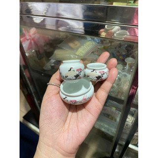 Cóng dành cho chim hút mật, khuyên kèm tai 1.2cm