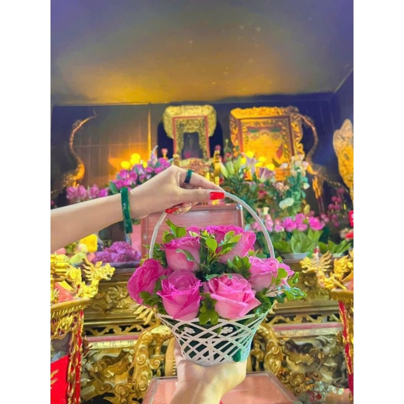 Cúc 6 Combo 50 cái