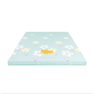 Nệm Bông Ép Vạn Thành Fantasy Vải Cotton - Dạng thẳng