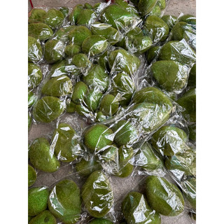 Bịch đá rêu trang trí ( combo bịch 6 cục nhiều size)