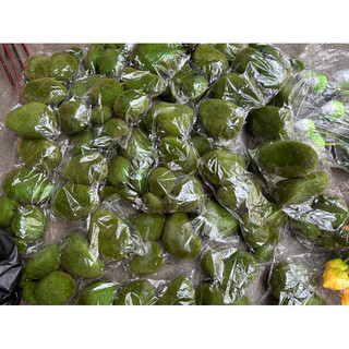 Bịch đá rêu trang trí