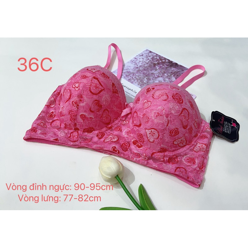 Áo lót định hình