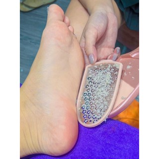 Cây chà gót chân 2 mặt bầu
