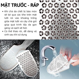 Cây chà gót chân 2 mặt bầu
