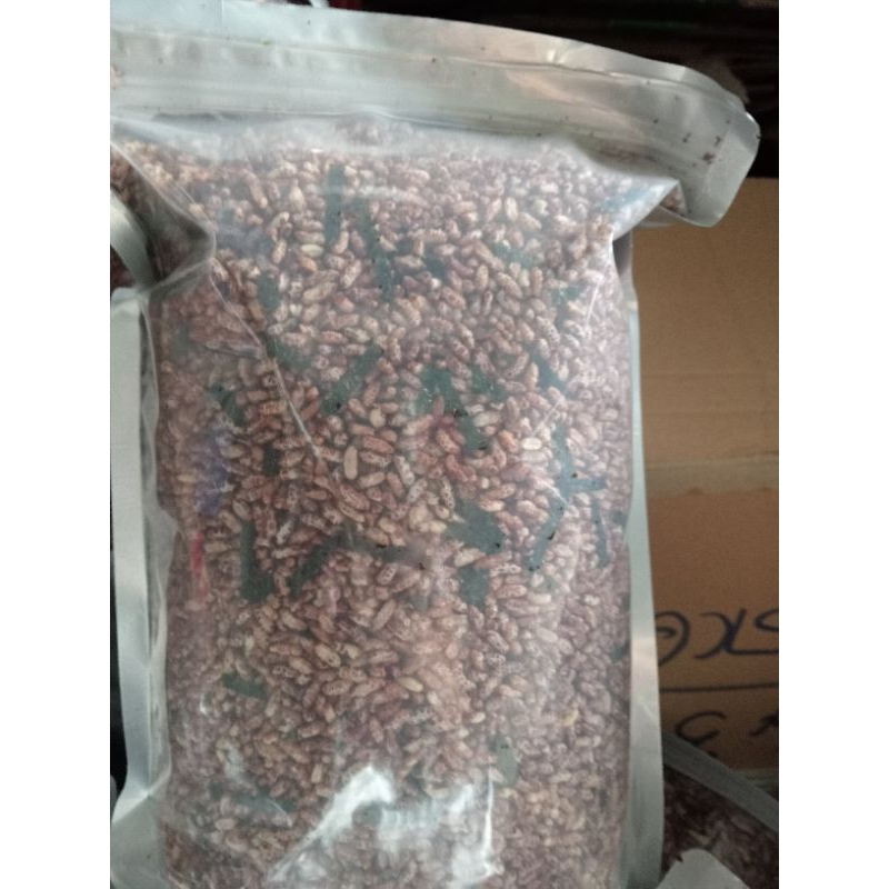 ( giá sỉ) combo 5,kg gạo lứt sấy rong biển đóng túi zip