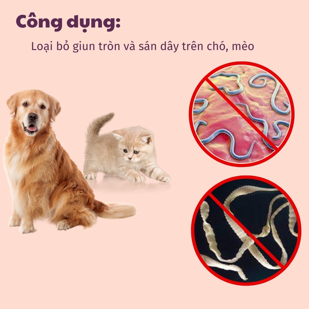 Viên Xổ Giun Sán Cho Chó Mèo Bio-Rantel 1 Viên Và 5 Viên - KIKINO