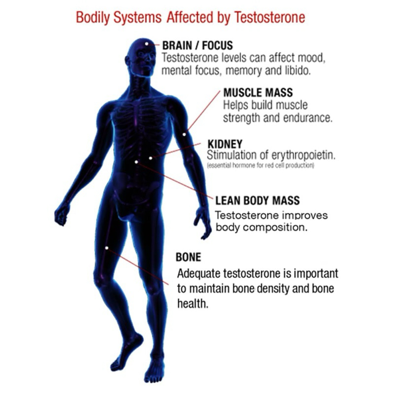 Viên uống tăng cường testosterone cho đàn ông Weider Prime Testosterone Support 120 viên của Mỹ