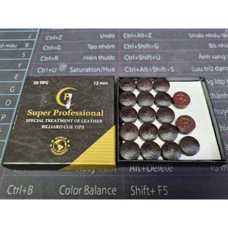ĐẦU CƠ BIDA  SUPER PROFESSIONAL (R)