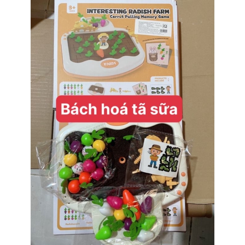 Đồ chơi khu vườn phát triển trí tuệ