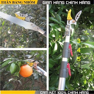 Kéo hái quả - kéo cắt cành trên cao dài 5 mét - gậy hái hoa quả,sào cắt quả trên cao kết hợp cưa cành cây