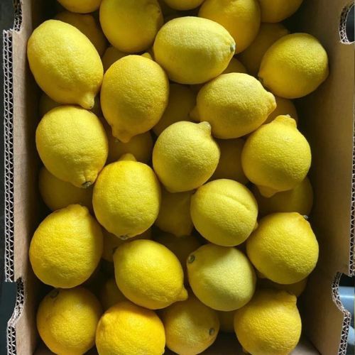 40k/1kg Chanh Vàng Úc tươi Hàng Loại 1 - Giá RẺ NHẤT - Giao Hỏa Tốc 1h