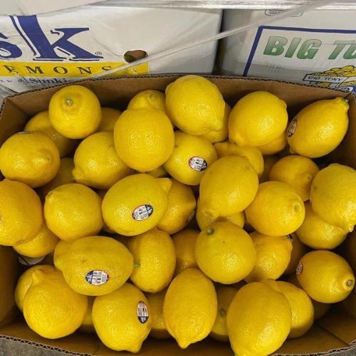 40k/1kg Chanh Vàng Úc tươi Hàng Loại 1 - Giá RẺ NHẤT - Giao Hỏa Tốc 1h