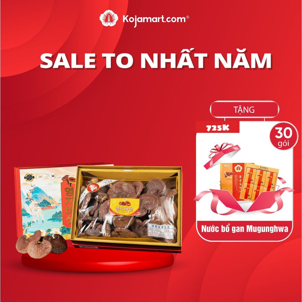 Nấm Linh Chi Tiến Vua Hàn Quốc Cao Cấp Hộp 1Kg