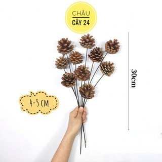 Quả thông khô kèm cành phụ kiện trang trí noel, decor giáng sinh, chụp ảnh