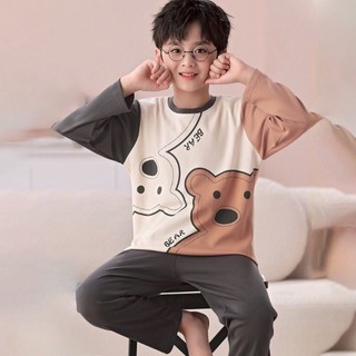 Bộ cotton dài tay bé trai cao cấp