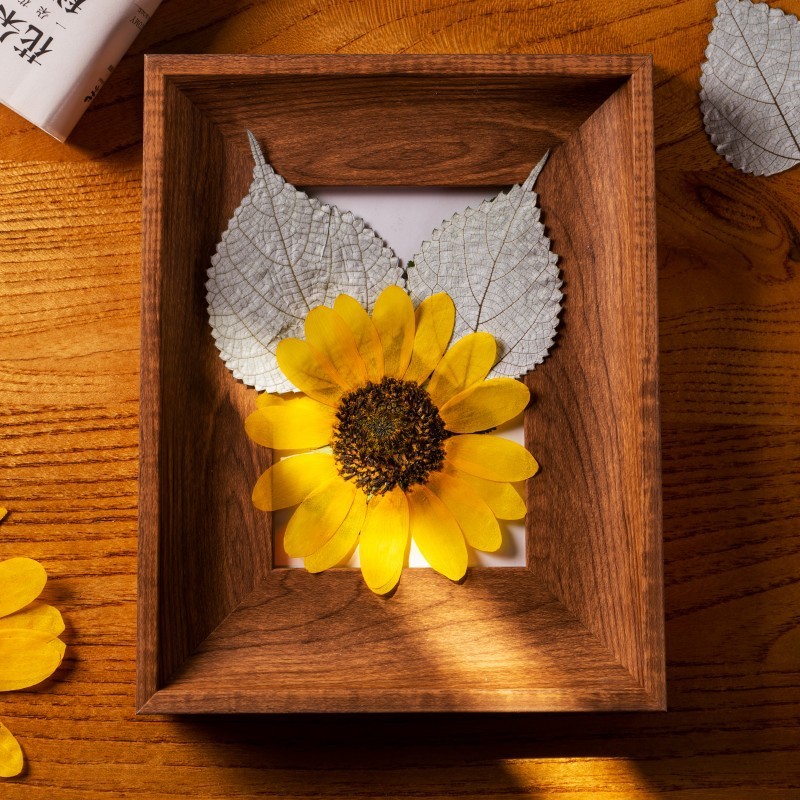 Hoa hướng dương ép khô dùng trang trí handmade