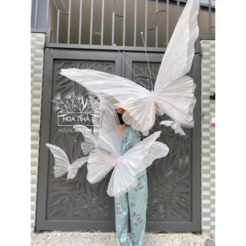 Bướm decor khổng lồ