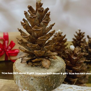 Cây thông Noel gỗ,trang trí giáng sinh