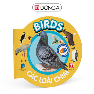 Sách-Từ điển bằng hình cho bé (Song ngữ Anh - Việt) (Đông A)