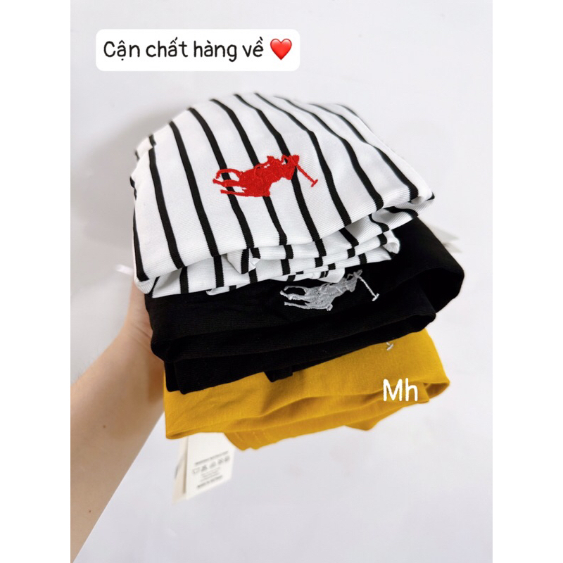 Maihuong⚡️TAG ZRF- SÉT 3 ÁO PULL CỘC TAY ĐEN KẺ VÀNG THÊU NGỰA CHO NỮ