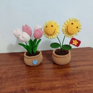 Chậu hướng dương theo yêu cầu