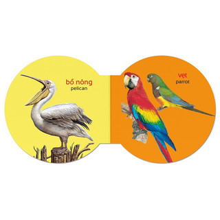 Sách-Từ điển bằng hình cho bé (Song ngữ Anh - Việt) (Đông A)