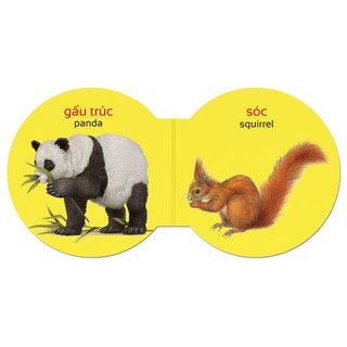 Sách-Từ điển bằng hình cho bé (Song ngữ Anh - Việt) (Đông A)
