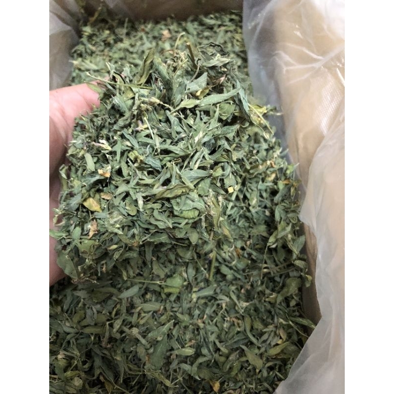 Cỏ Alfalfa lá cho thỏ con tập ăn hoặc thỏ dưới 6 tháng !!