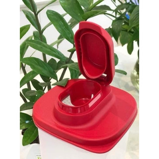 Tupperware - Bình Slim Line 2L