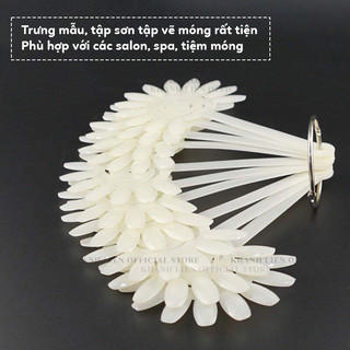 Móng lên mẫu - móng sơn màu - móng trưng bày mẫu - móng quạt