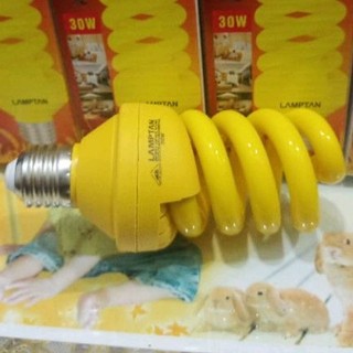 Bóng đèn compact đuỗi muỗi Lamptan 30W