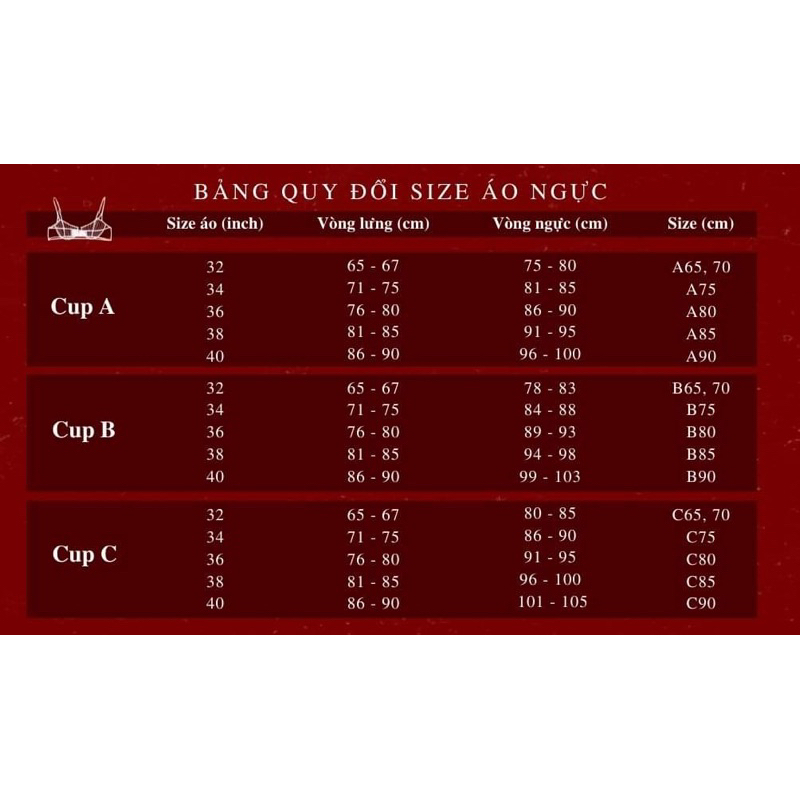 Áo ngực nữ mút mỏng trắng trơn phối ren nơ có gọng xuất dư mặc hàng ngày thoải mái cho nữ