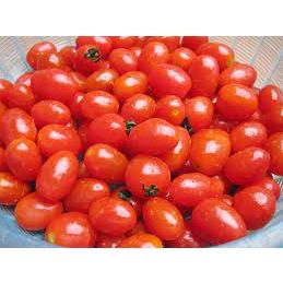Cà Chua Bi tươi - 100g - giao Hỏa Tốc Hà Nội