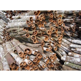 1 kg vỏ quế khô