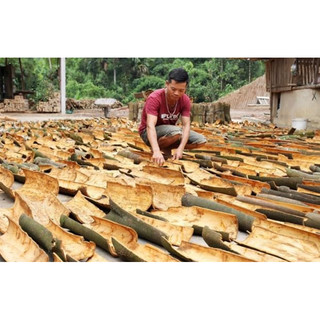 1 Kg VỎ QUẾ KHÔ(CAM KẾT THƠM,SẠCH,MỚI)