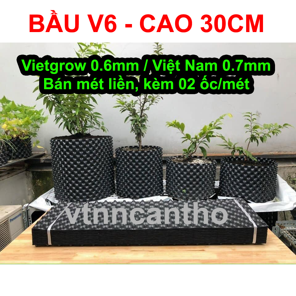 1m Bầu ươm V6 cao 30cm dày 0,6mm 0,7mm (bán theo mét liền, kèm vít 2 ốc vít / mét)