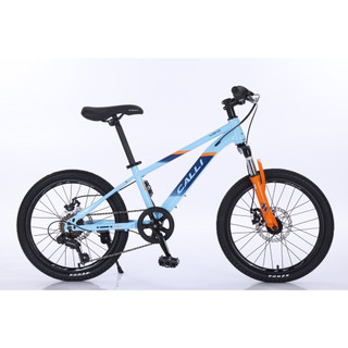   Xe đạp thể thao bánh 20 CALLI M310 (Tặng chắn bùn + giá đỡ bình nước+ lục giác)