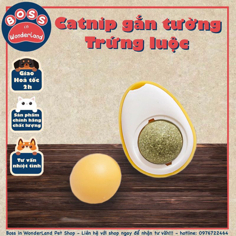 CATNIP GẮN TƯỜNG, CỎ MÈO GẮN TƯỜNG