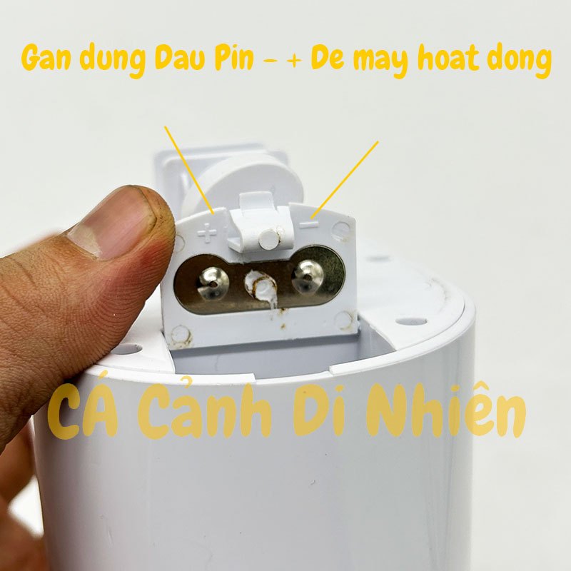 Máy cho cá ăn tự động SOBO DA-06 Máy hẹn giờ cho cá ăn DA06 Time auto feeder