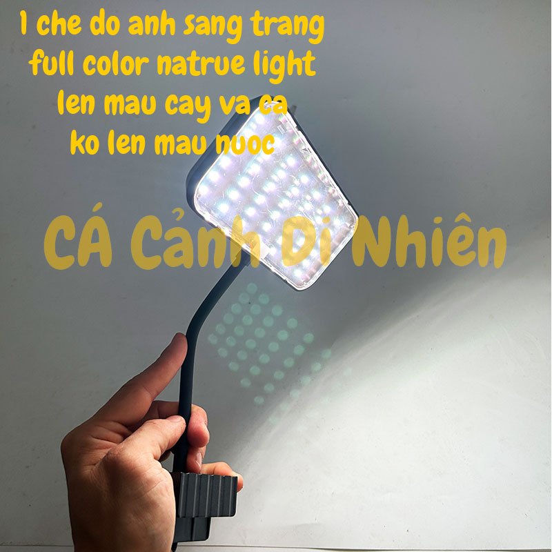 Đèn LED kẹp Riverside natrue light thành hồ cá thủy sinh để bàn 20 30 40 cm